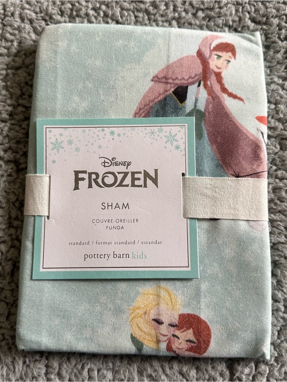 Pottery Barn Kids Frozen Pillow Sham - Light Teal